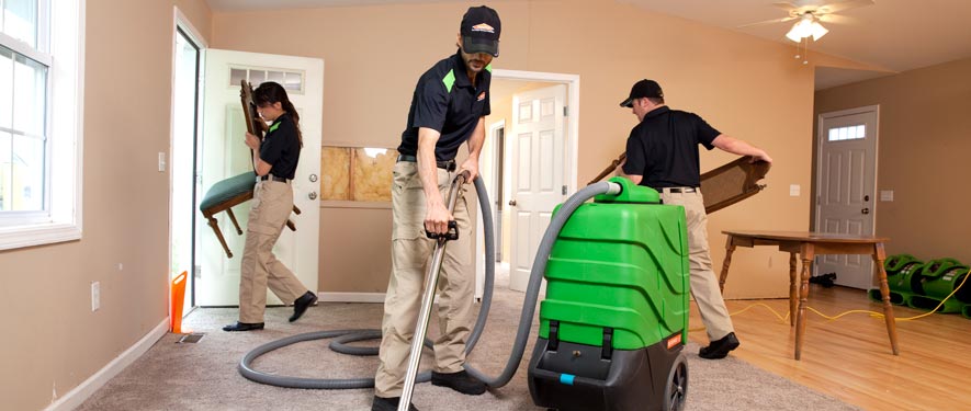 Wheaton, MD cleaning services