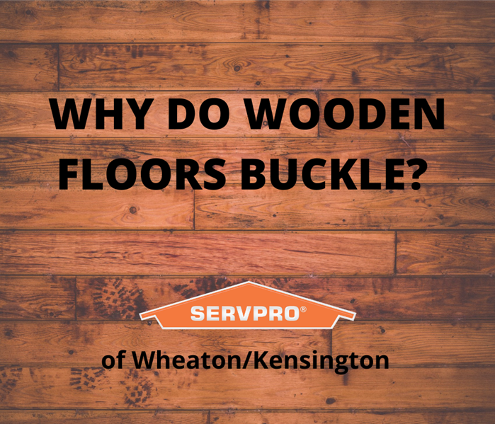 Wooden floor background with wording that reads "why do wooden floors buckle"